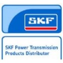 PIÑONES SKF