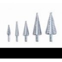 BROCAS CELESA